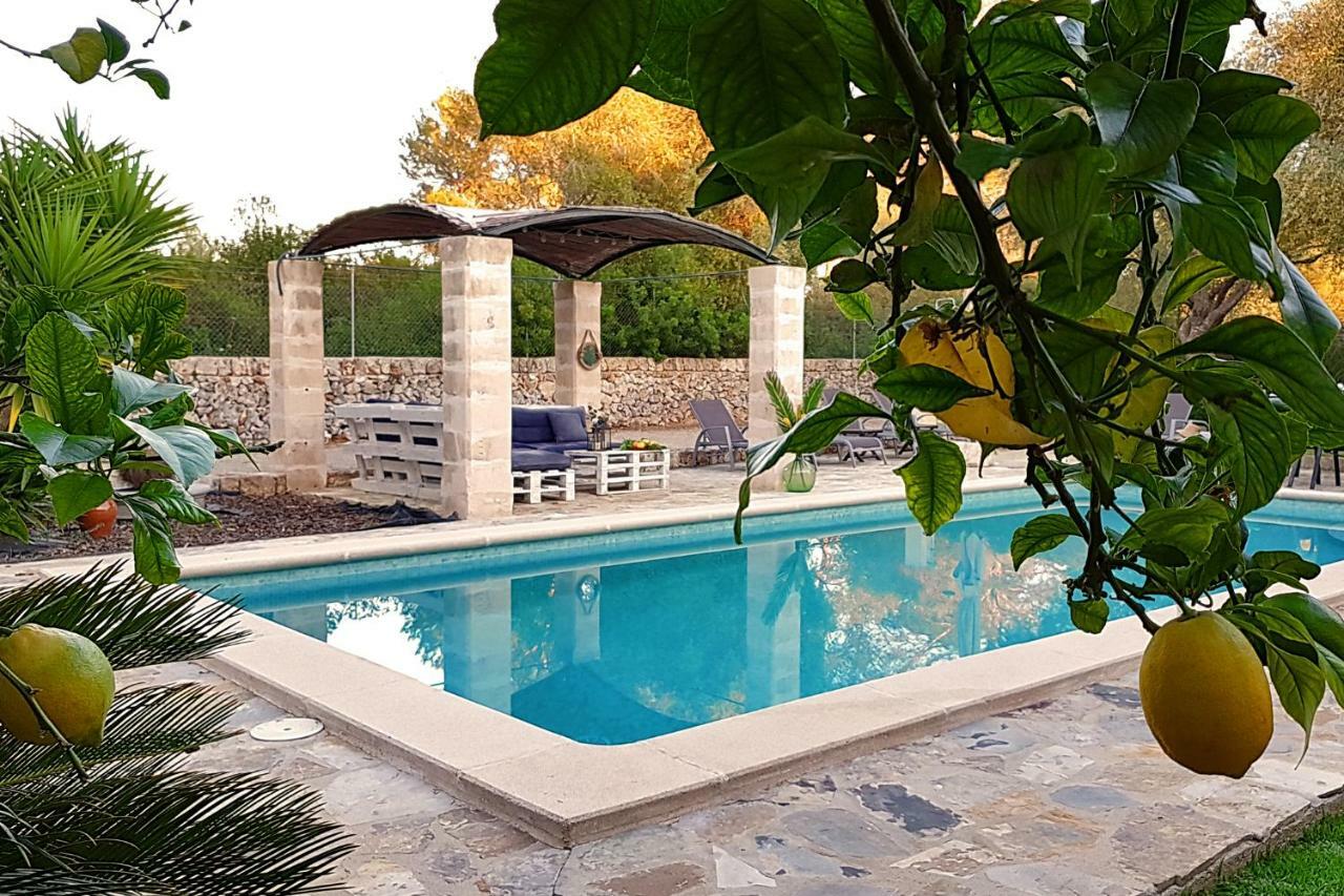 Finca Isabel Y Guillermo Con Posibilidad De Piscina Climatizada Синеу Экстерьер фото